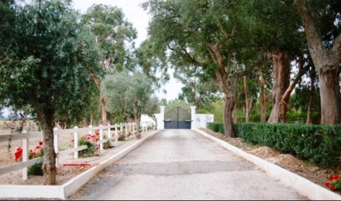 Herdade De Santa Maria Almeirim Exterior foto