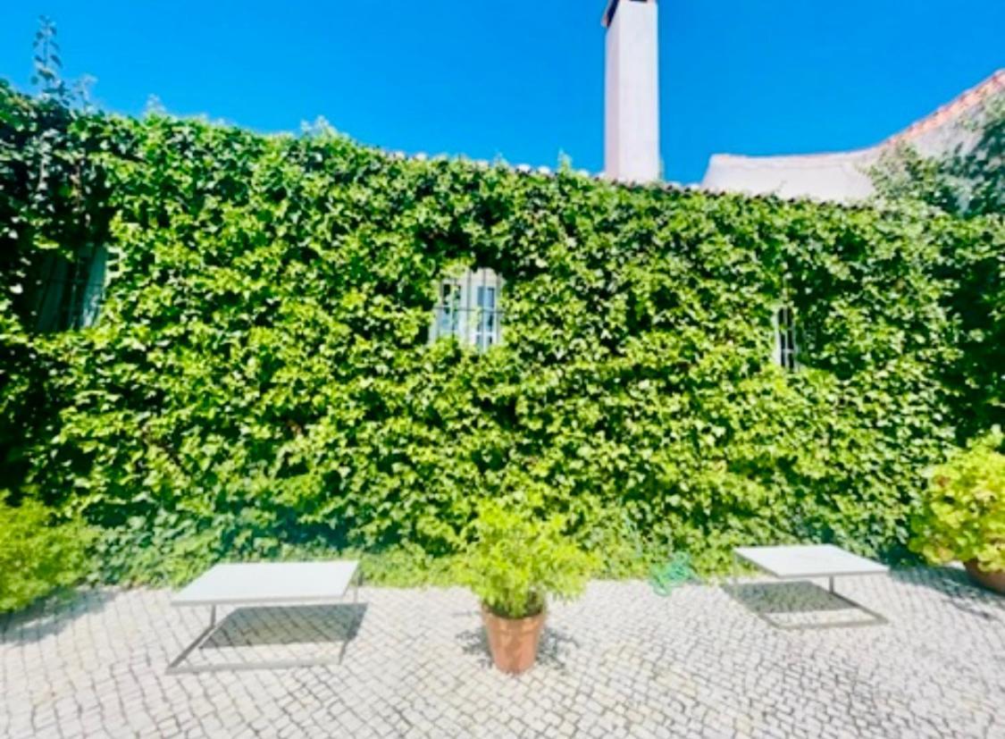 Herdade De Santa Maria Almeirim Exterior foto